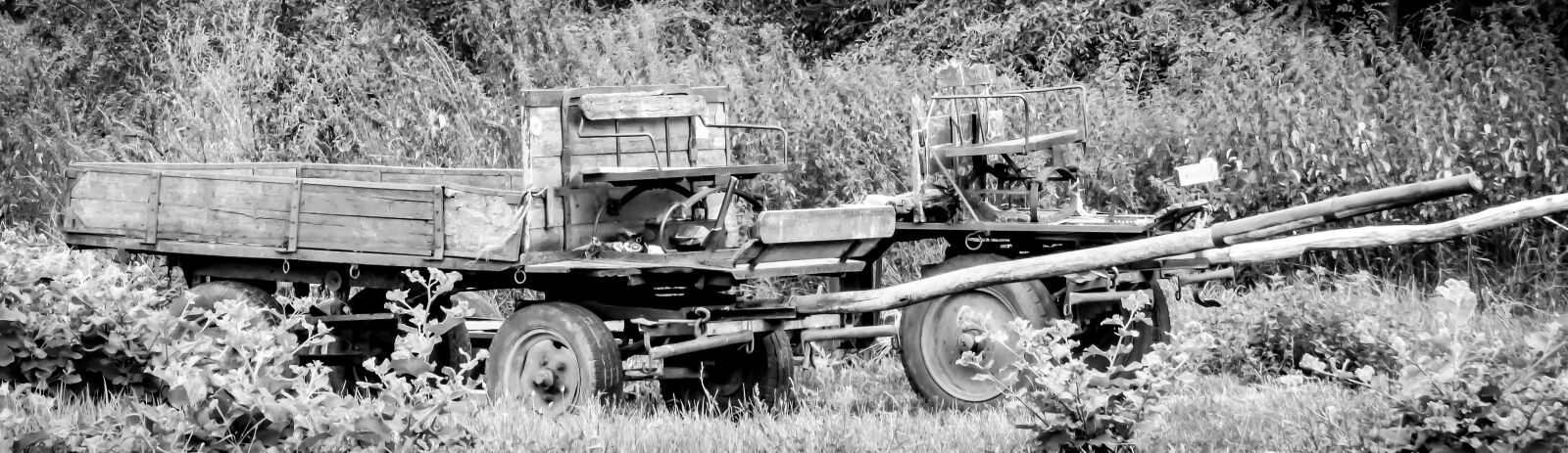 Panasonic DMC-FZ72 sample photo. Cart, horse-drawn carriage, vehicle photography