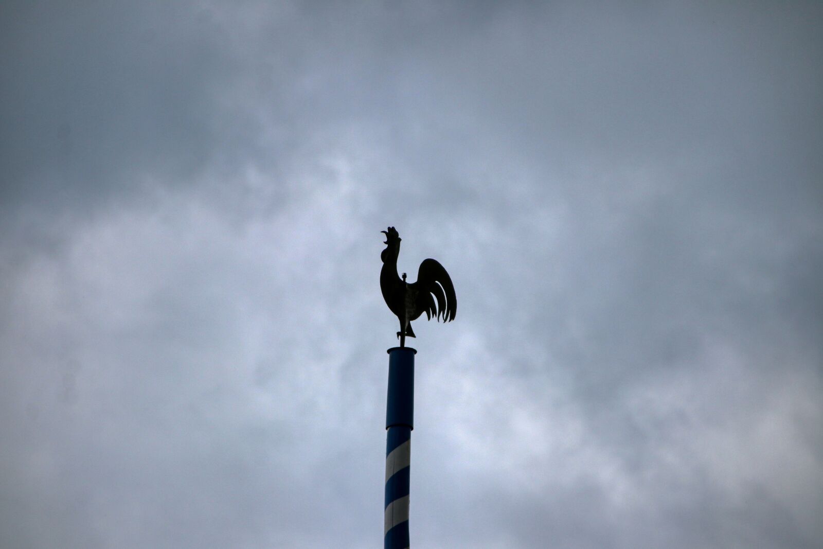 Canon EOS 80D sample photo. Hahn, weather vane, great photography