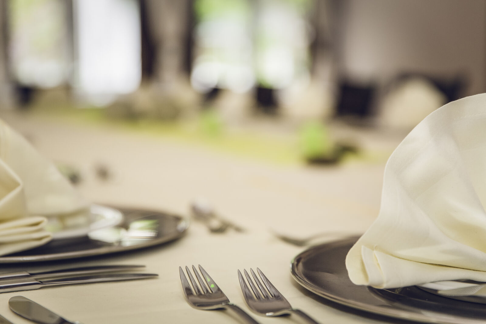 Canon EF 24-70mm F2.8L II USM sample photo. Dinner, table, cutlery, plates photography