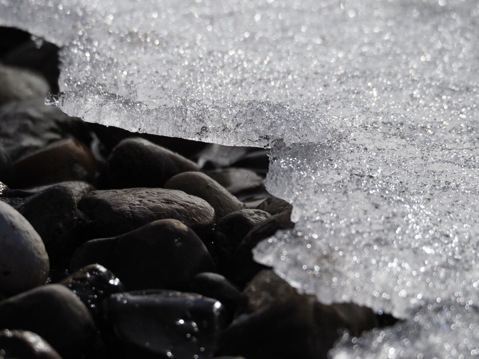 Olympus OM-D E-M1 Mark II sample photo. Ice, cold, frost photography
