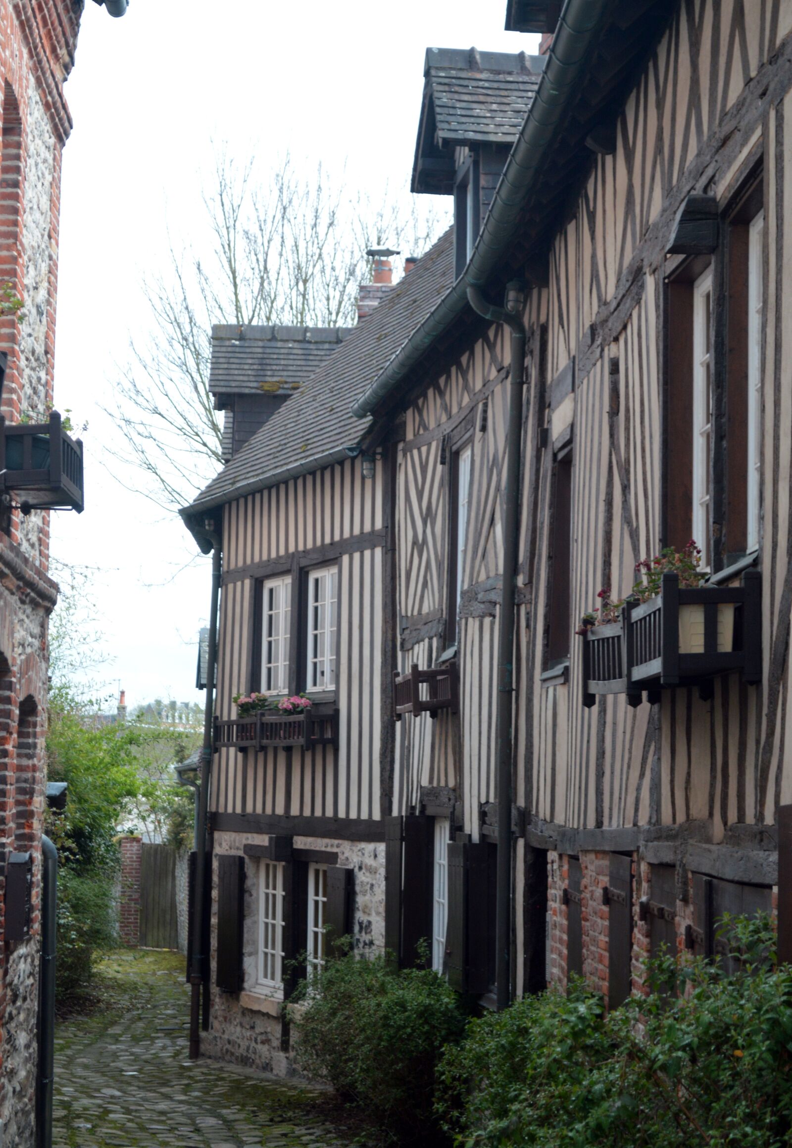 Nikon D3200 sample photo. Lane, pavement, village photography