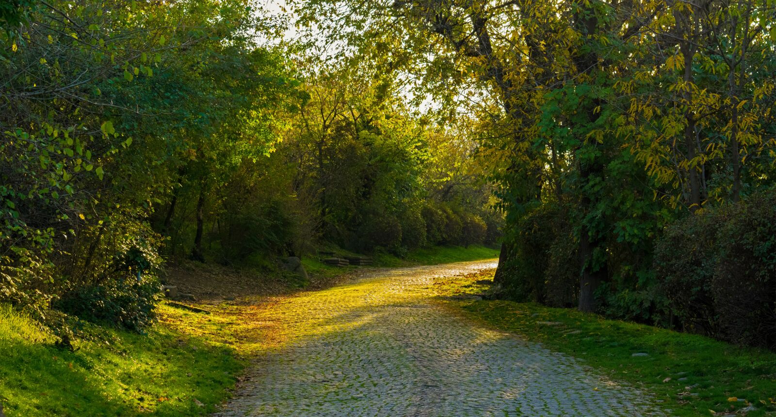Nikon D3300 sample photo. Path, park, sunny photography