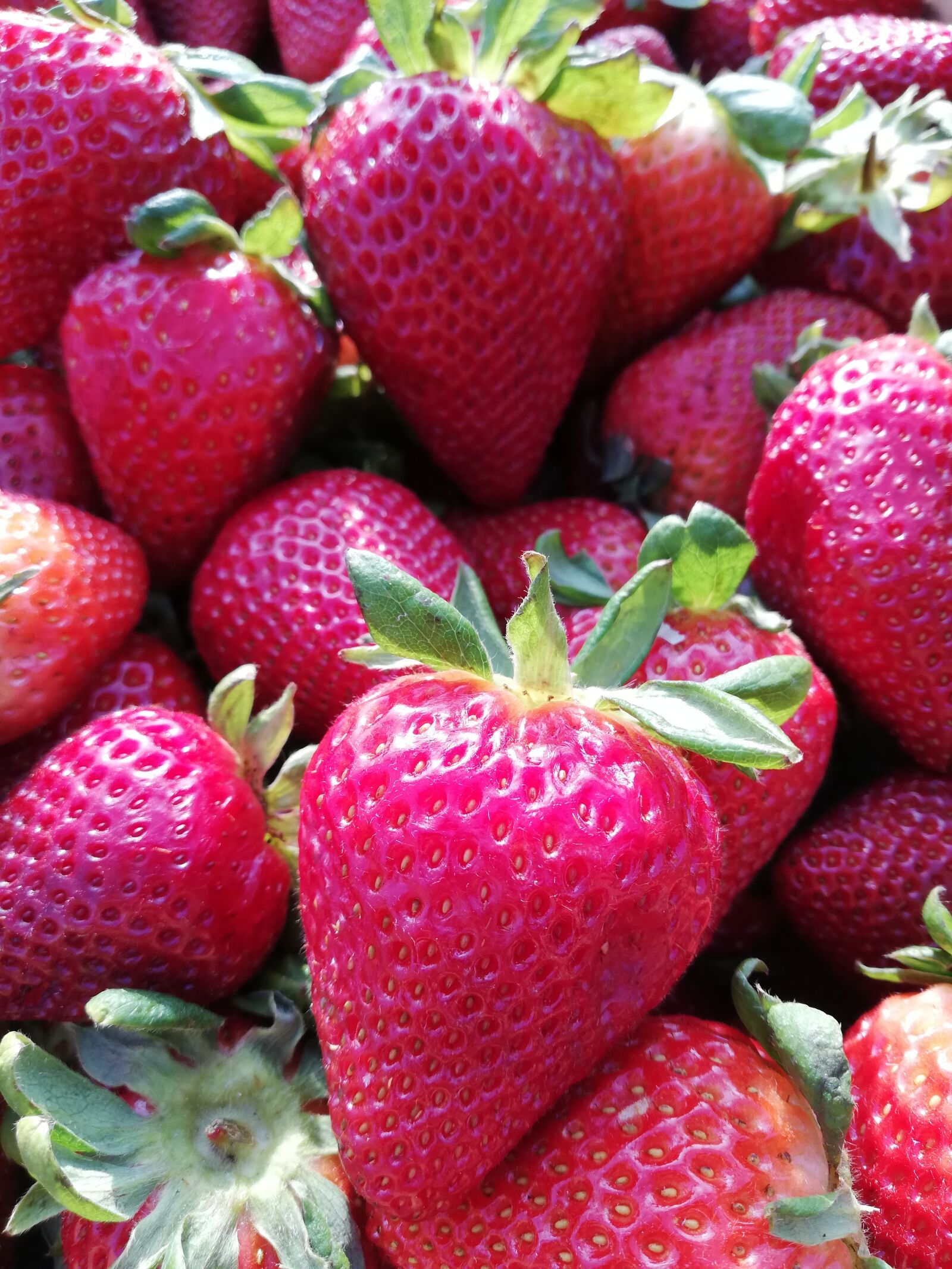 HUAWEI P20 lite sample photo. Strawberries, strawberry, fruit photography