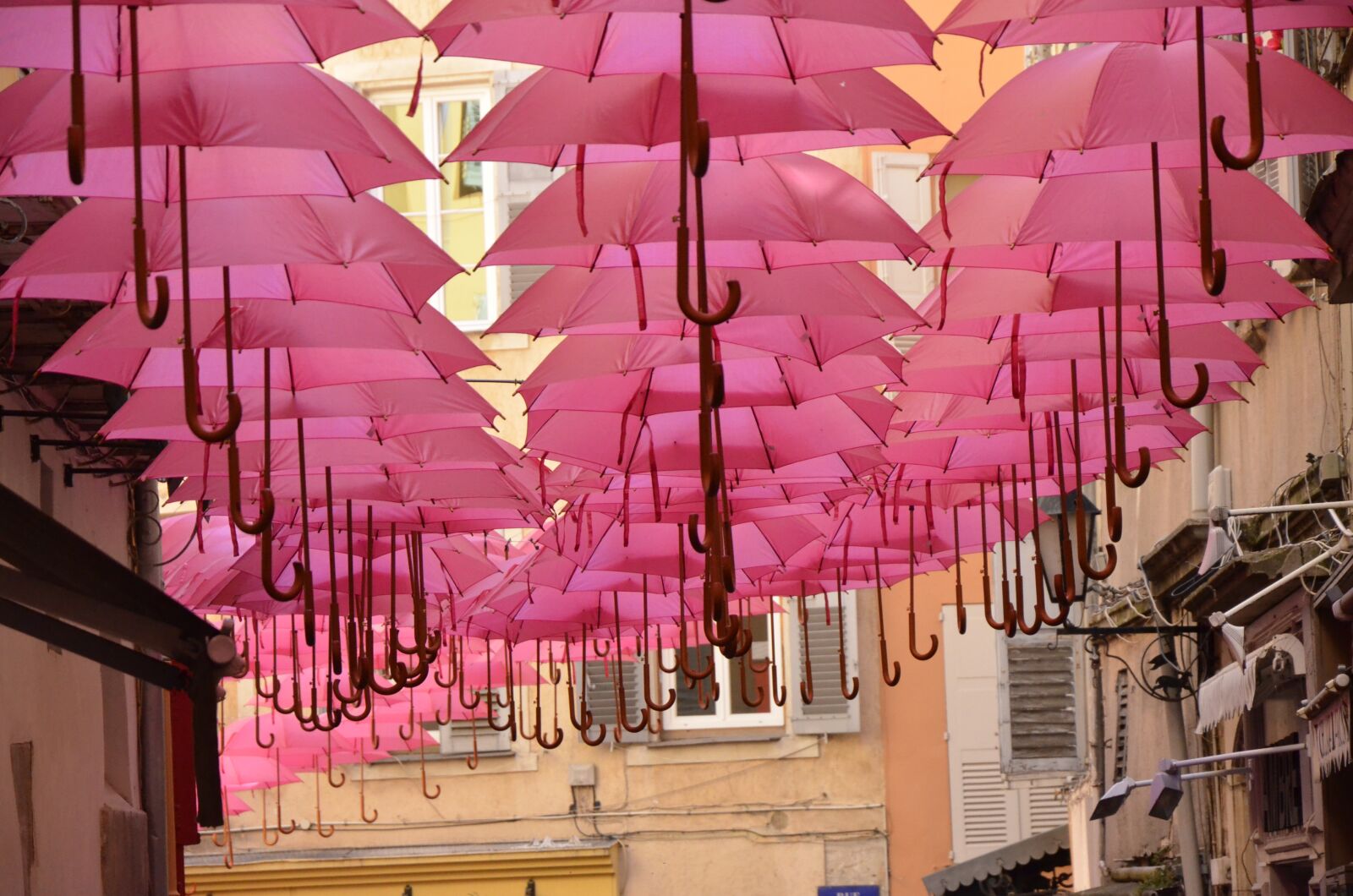 Nikon D7000 sample photo. Street, umbrella, pink photography