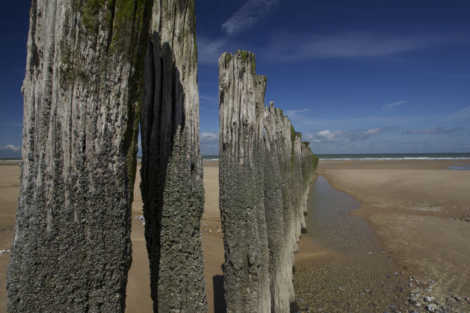 Sony SLT-A77 sample photo. Beach, bar, post photography
