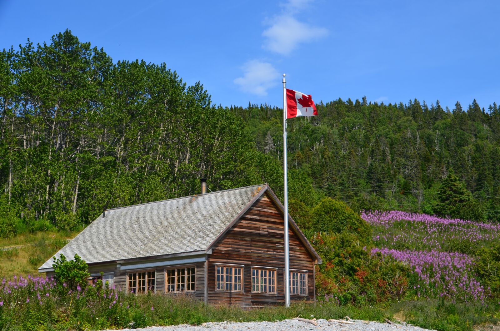 Nikon D5100 sample photo. House, nature, tree photography