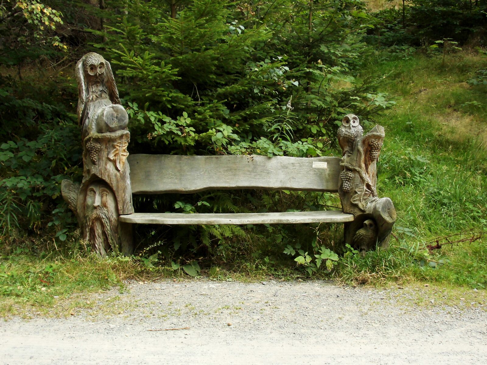 MEDION MD86824 sample photo. Bank, wooden bench, bench photography