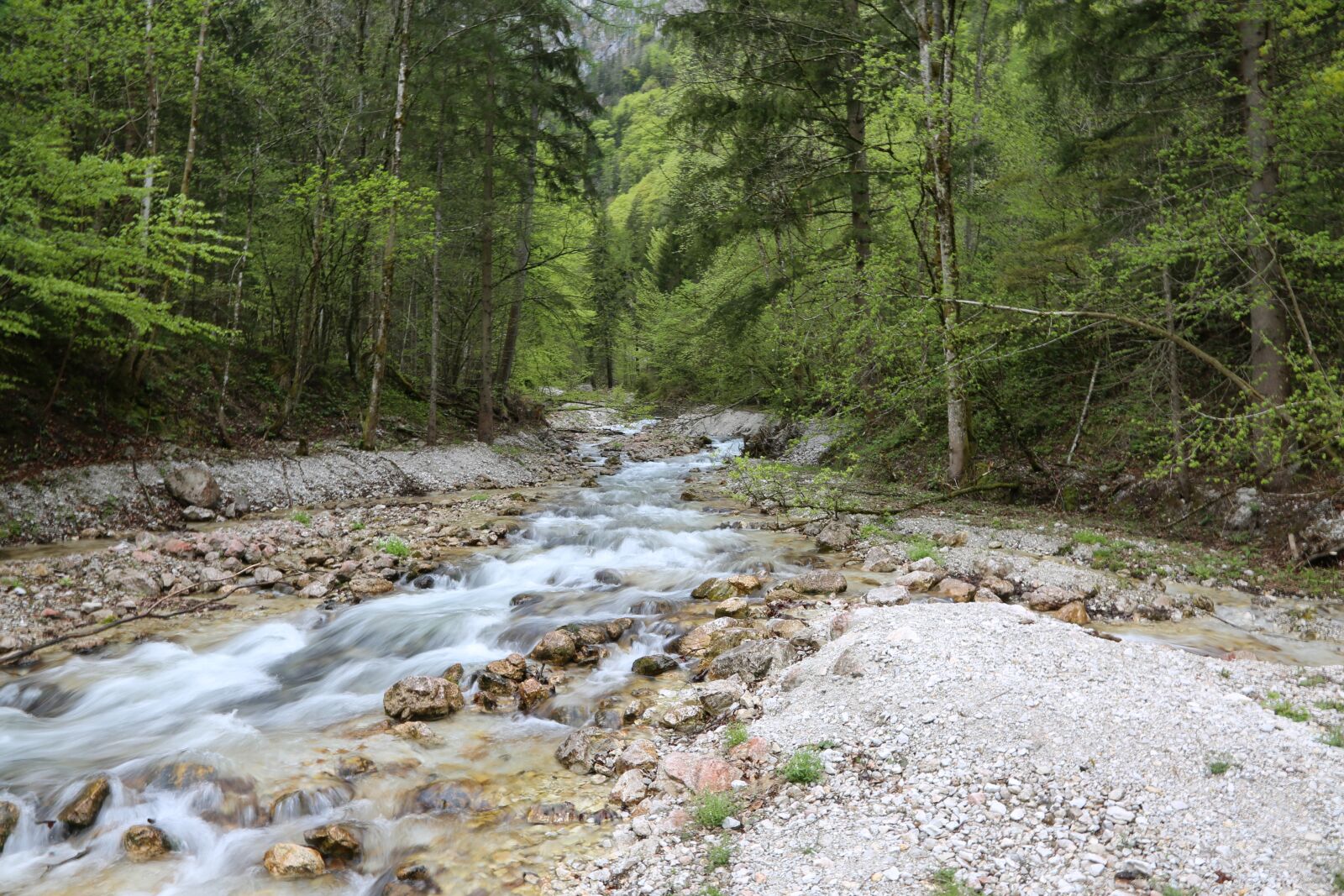 Canon EF 24-105mm F4L IS USM sample photo. Water, bach, stones photography