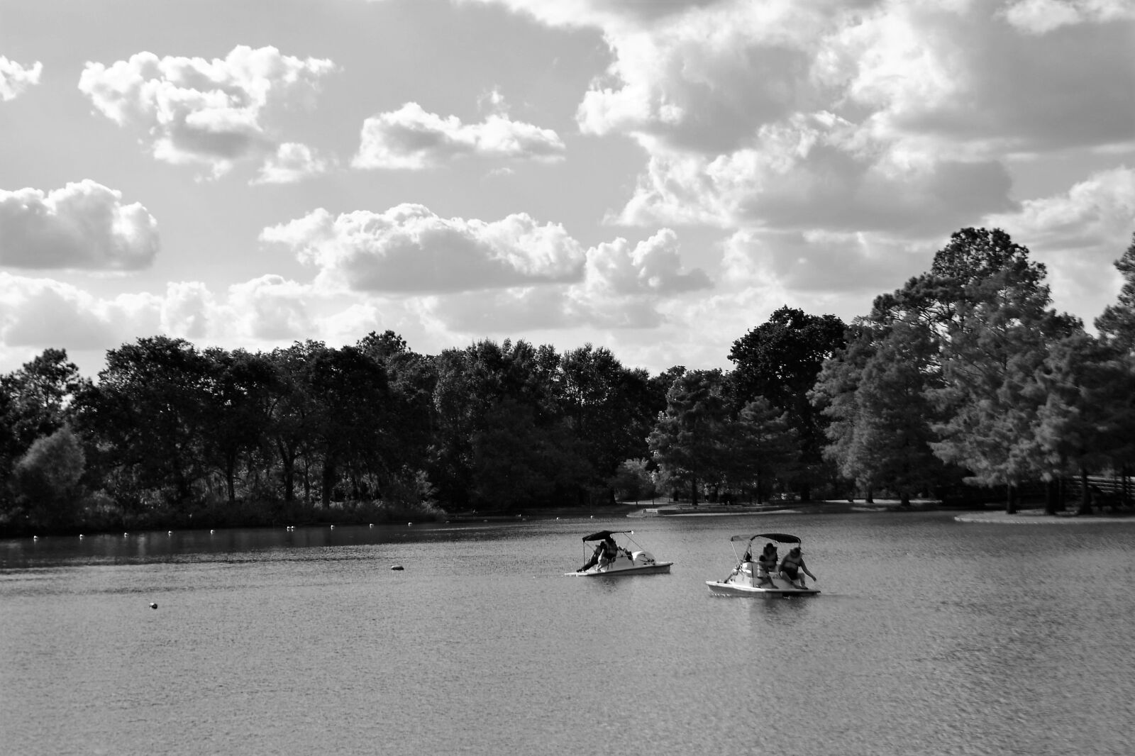 Nikon D3100 sample photo. Herman park, houston, texas photography