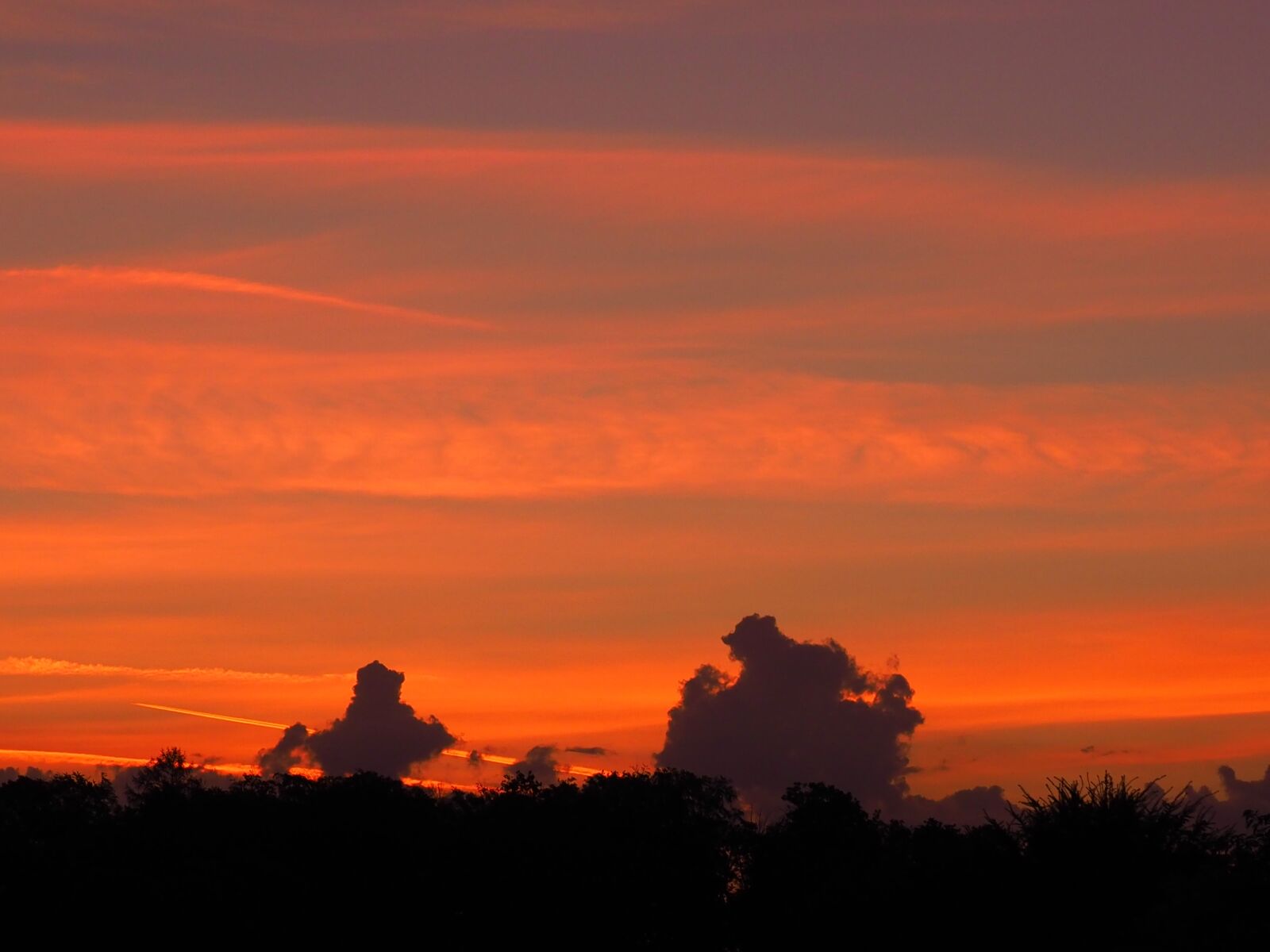 Olympus M.Zuiko Digital ED 12-100mm F4.0 IS Pro sample photo. Sunrise, clouds, sky photography