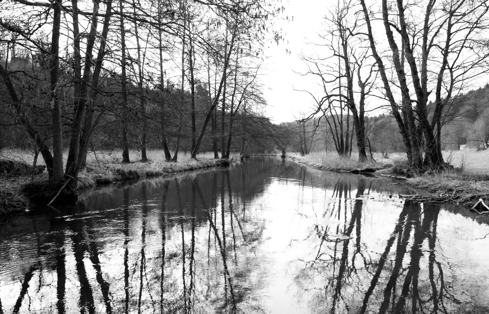 Fujifilm XF 16-55mm F2.8 R LM WR sample photo. Reflection, waters, tree photography
