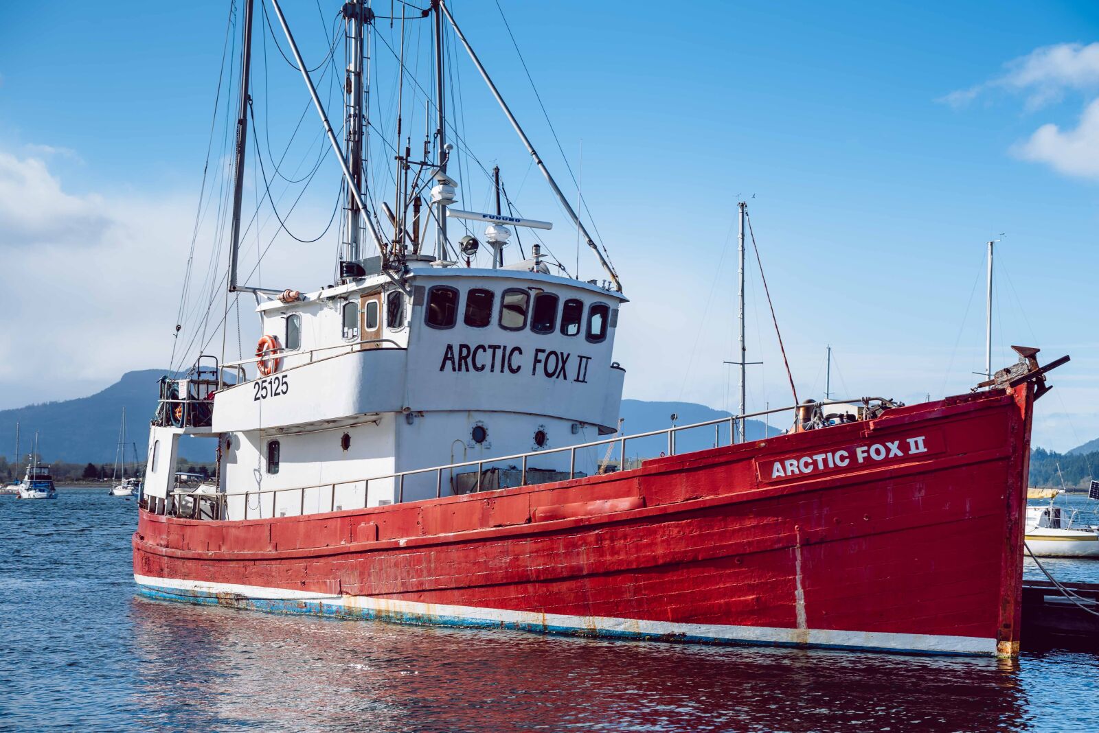 Nikon D750 sample photo. Arctic fox, ship, vessel photography