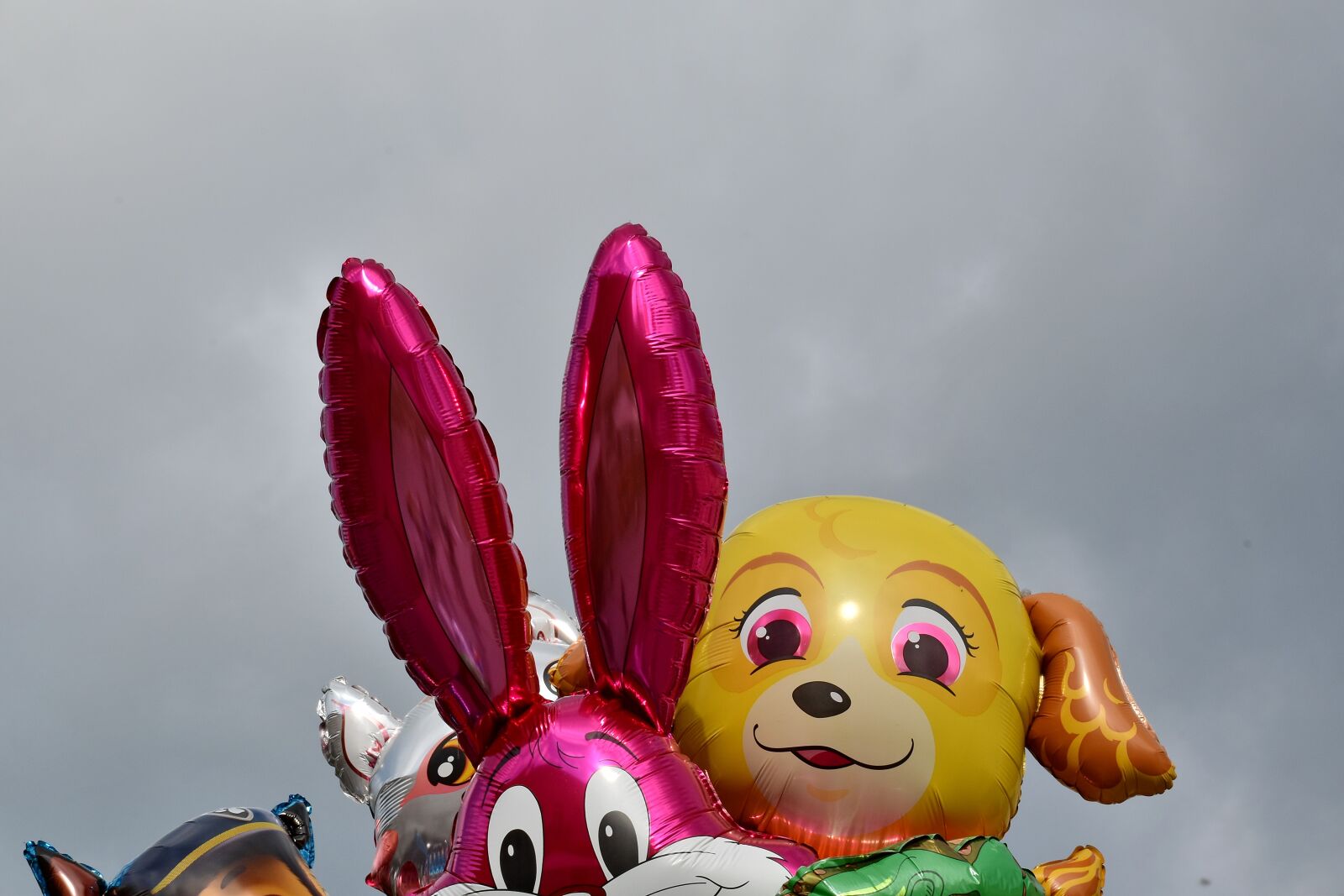 Nikon D5500 sample photo. Helium, plastic, balloon, toy photography