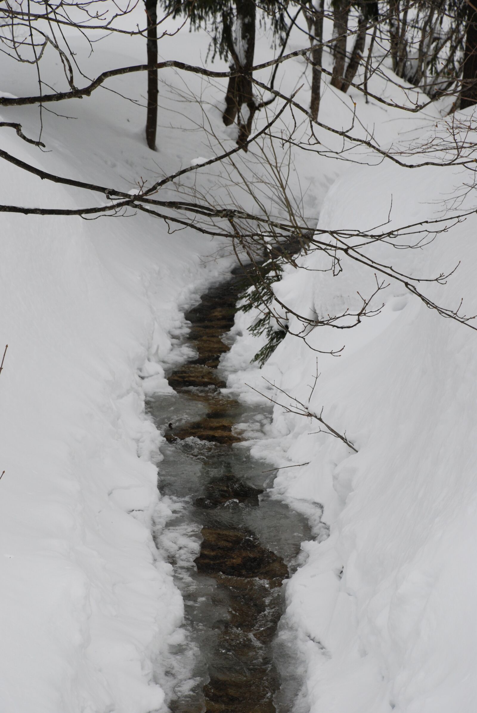 Nikon D80 sample photo. Bach, snow, wintry photography