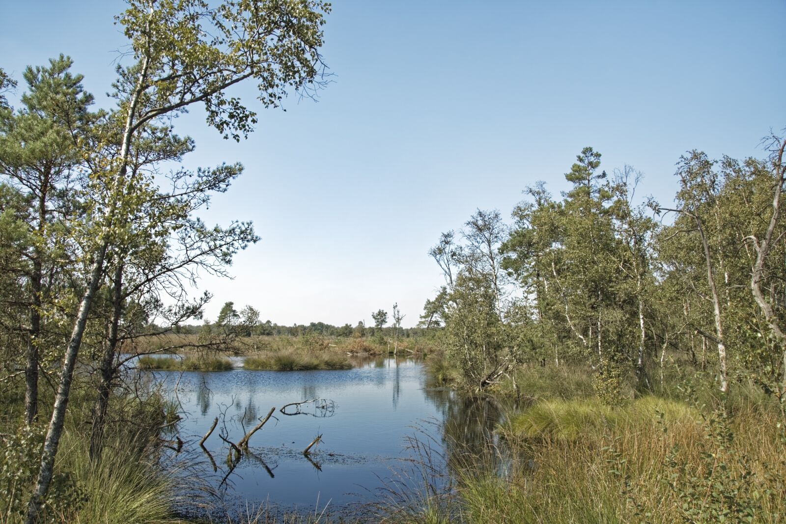 Nikon D500 sample photo. Germany, schneverdingen, pietz moor photography