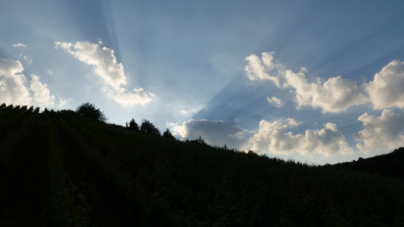 Panasonic DMC-FZ62 sample photo. Nature, landscape, sky photography
