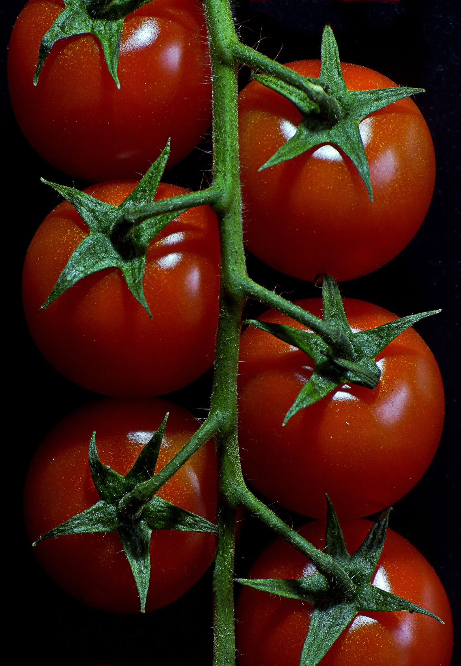Sony SLT-A77 sample photo. Tomatoes, vegetables, red photography
