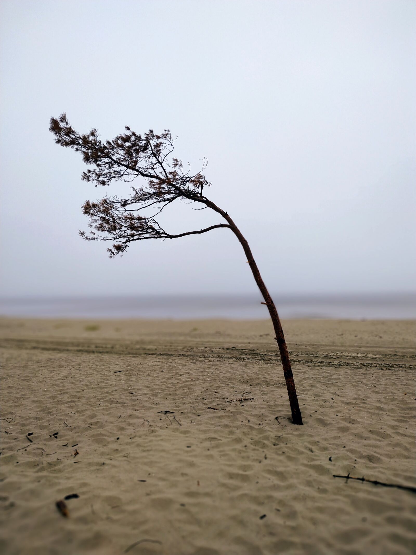 Xiaomi Redmi Note 6 Pro sample photo. Sea, the baltic sea photography