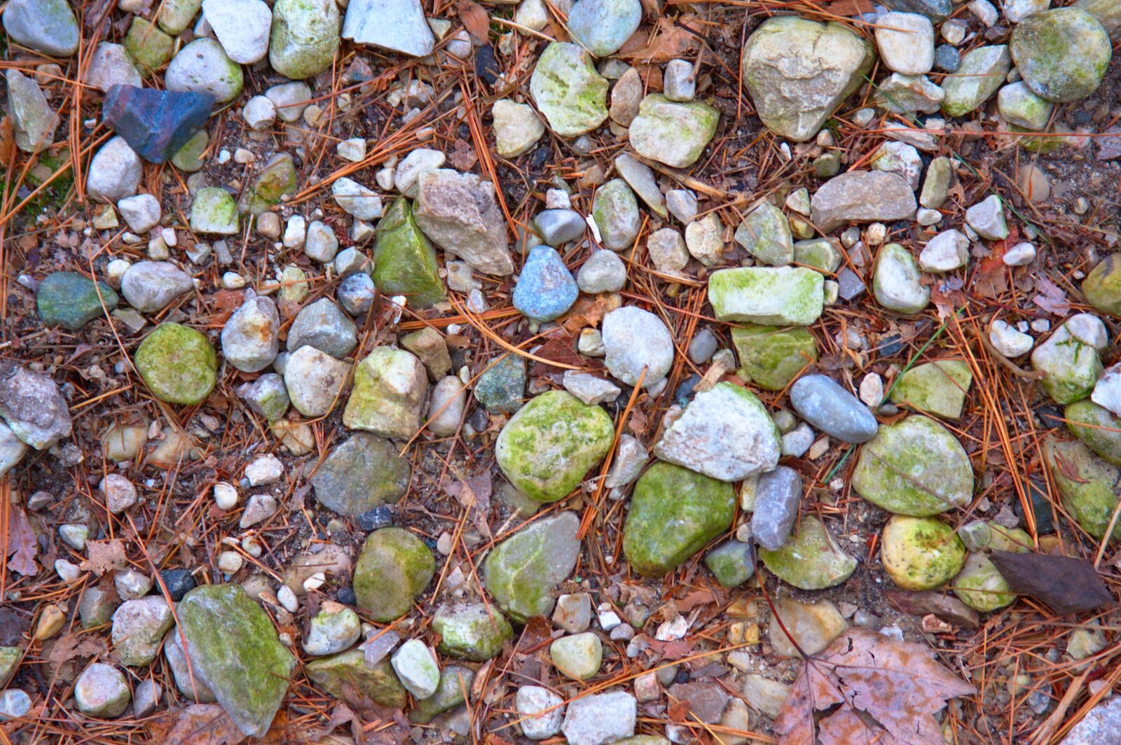 Canon EOS 40D sample photo. Stones, ground, rocks photography