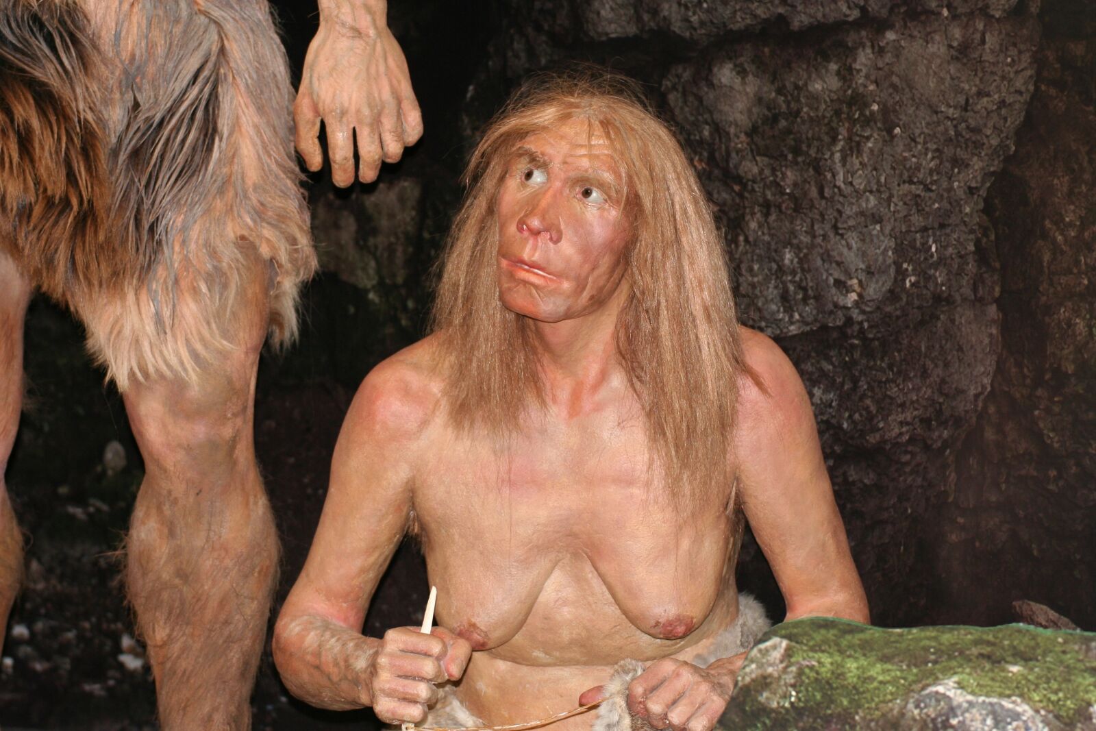 Canon EOS 350D (EOS Digital Rebel XT / EOS Kiss Digital N) sample photo. Ancestor, neanderthal, history photography