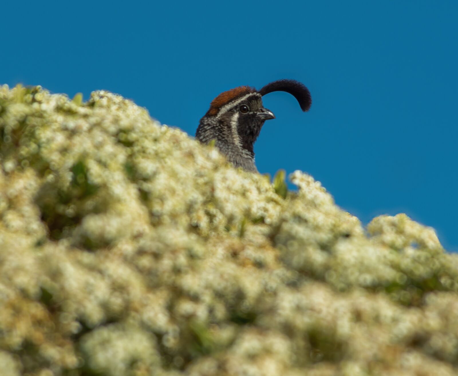 Nikon D7200 sample photo