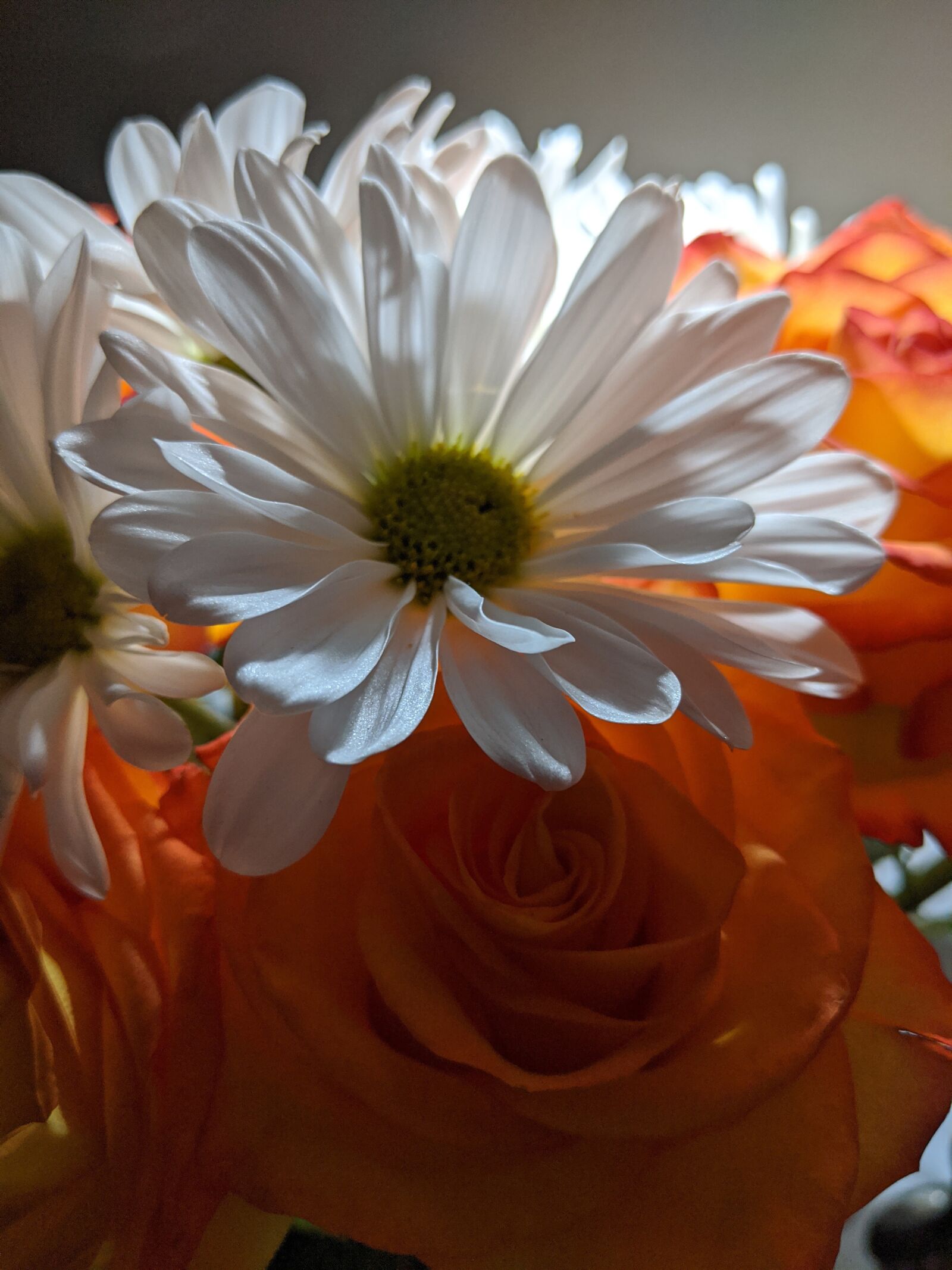 Google Pixel 2 XL sample photo. Flowers, orange, white photography