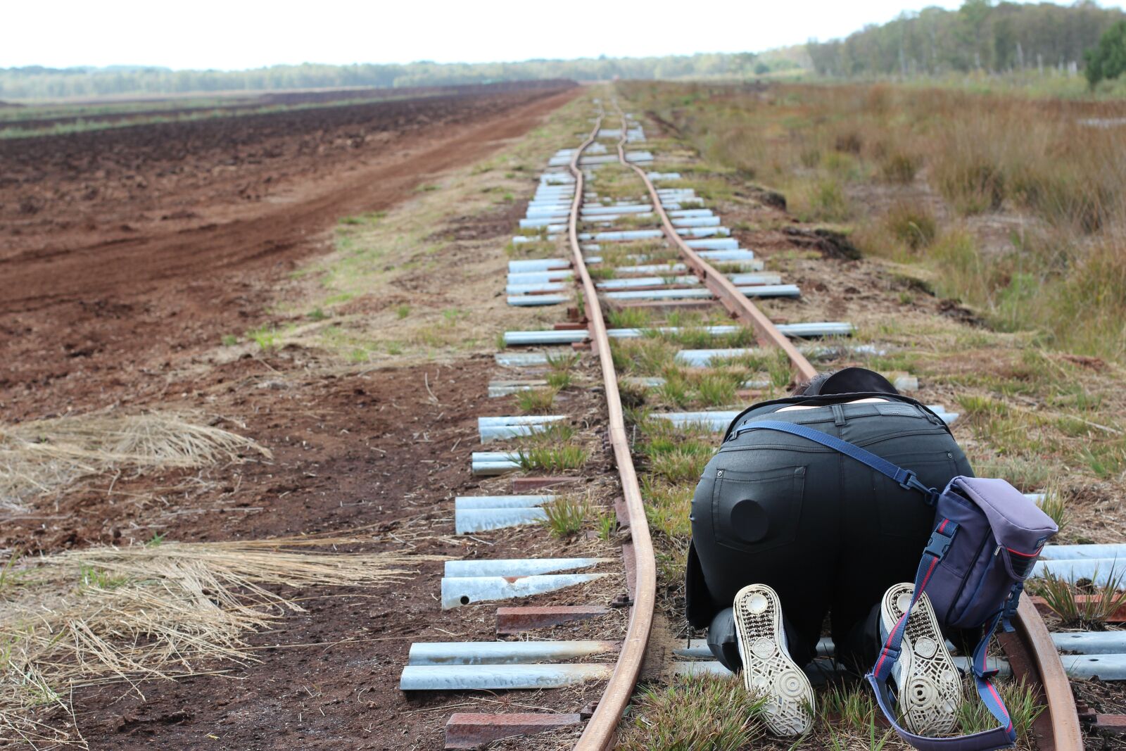 Canon EOS 600D (Rebel EOS T3i / EOS Kiss X5) + Canon EF 50mm F1.4 USM sample photo. Railway rails, rails, track photography