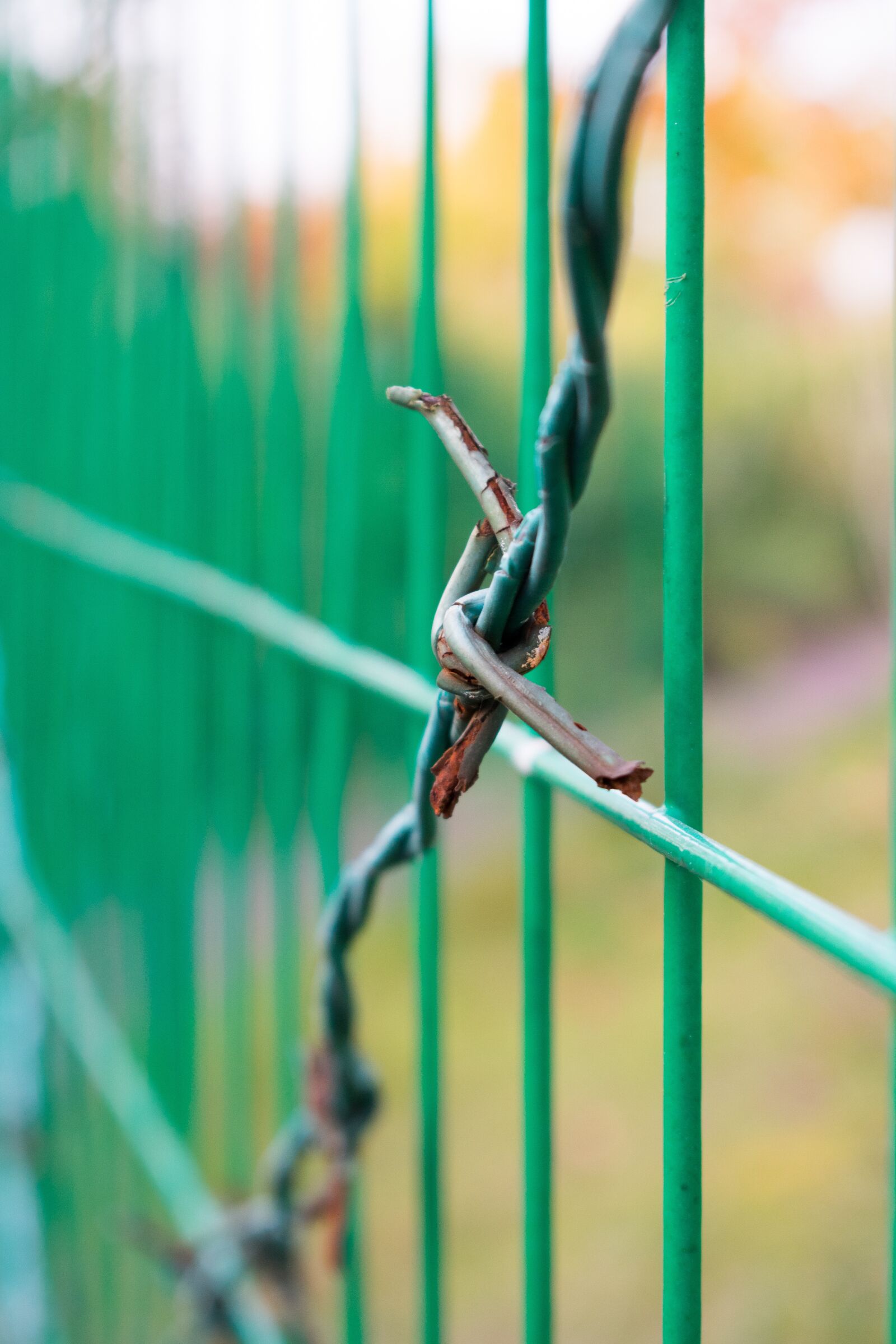 Nikon D3400 sample photo. Barbed wire, fences, fence photography