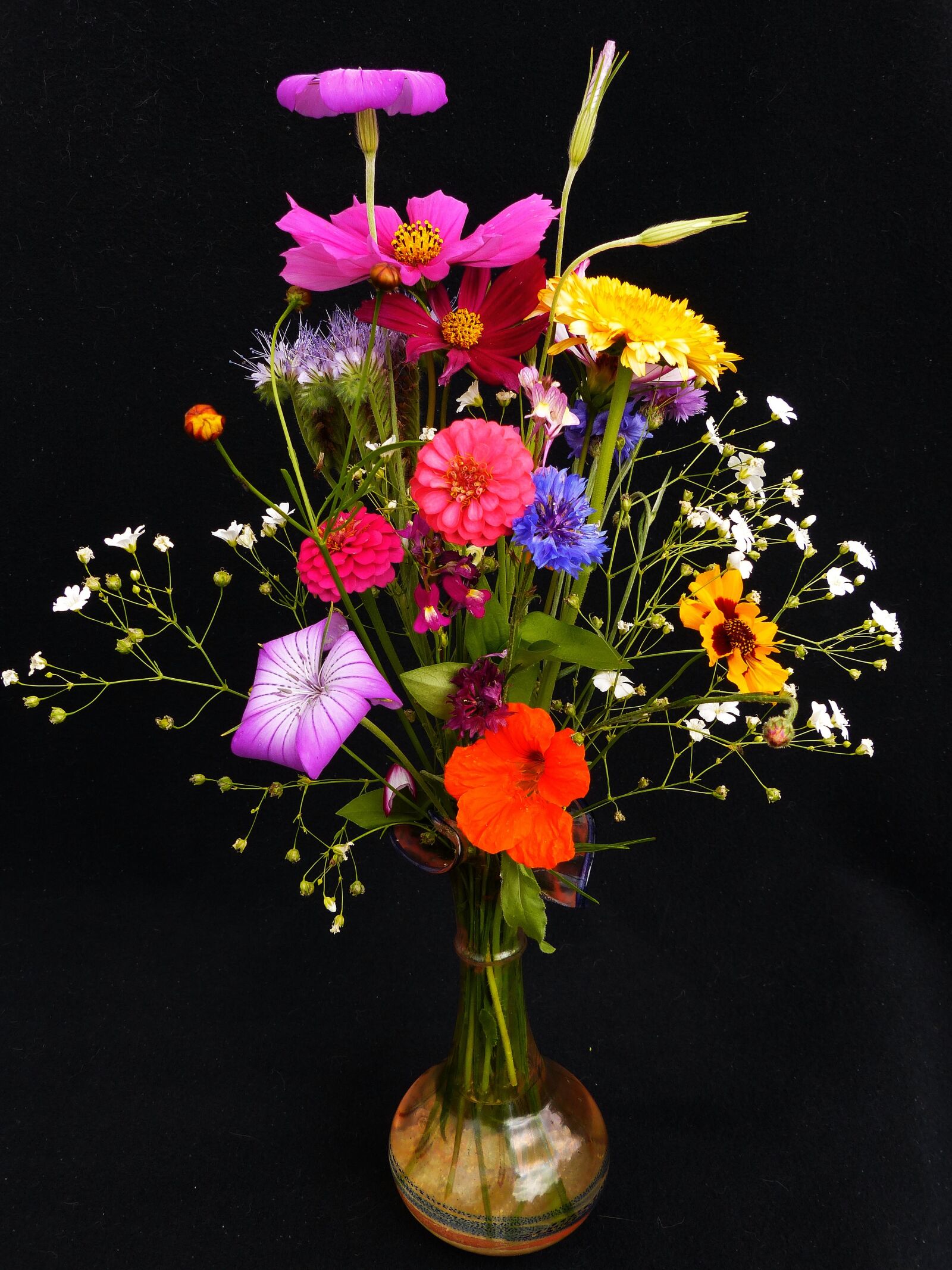 Panasonic Lumix DMC-FZ200 sample photo. Birthday bouquet, wildflowers, pointed photography