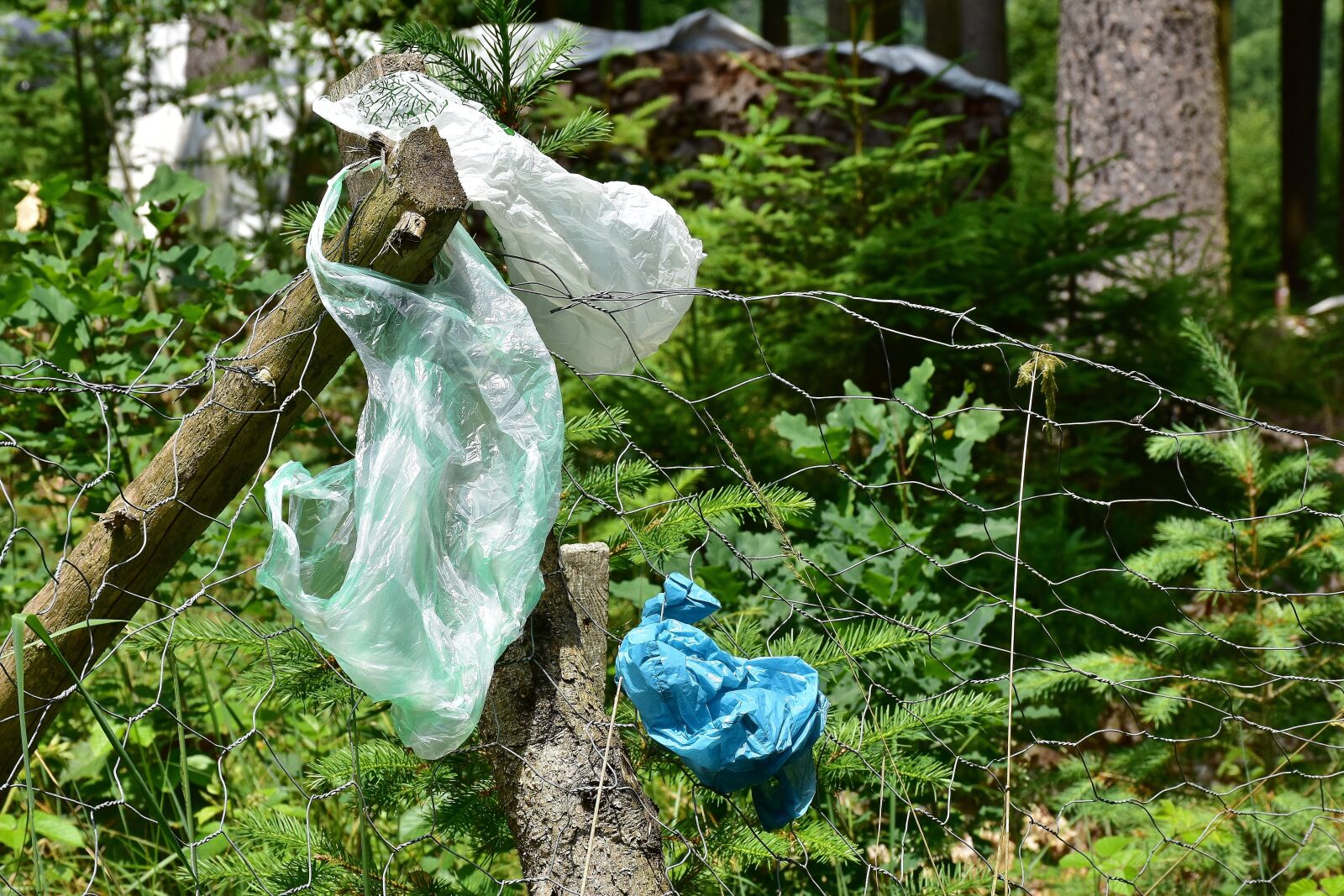 Nikon D7200 sample photo. Garbage, plastic waste, waste photography