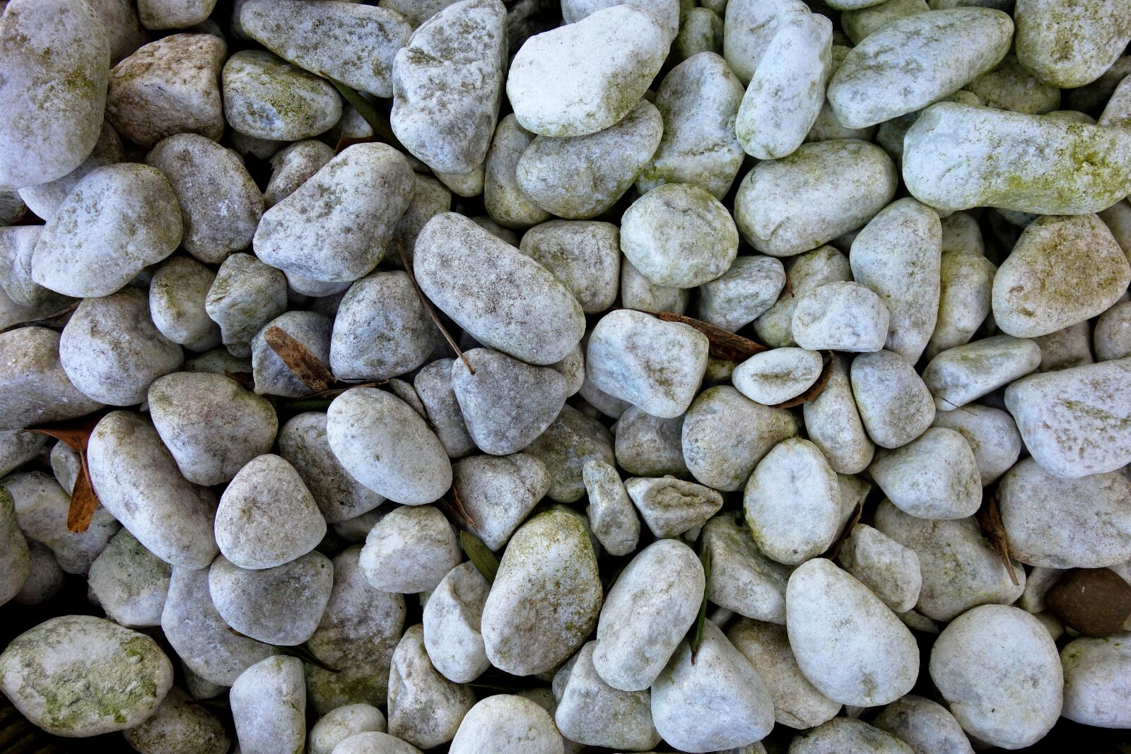 Sony Cyber-shot DSC-RX100 sample photo. Pebble, stone, rock photography