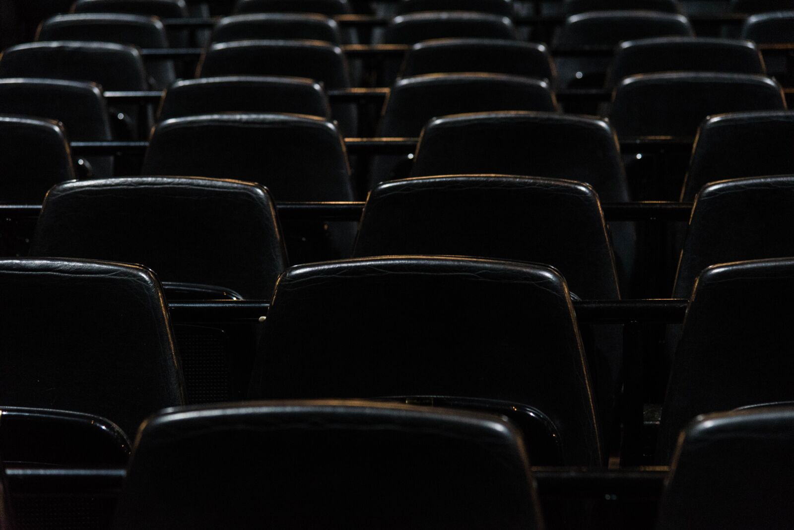 Nikon D750 sample photo. Armchair, show, opera photography