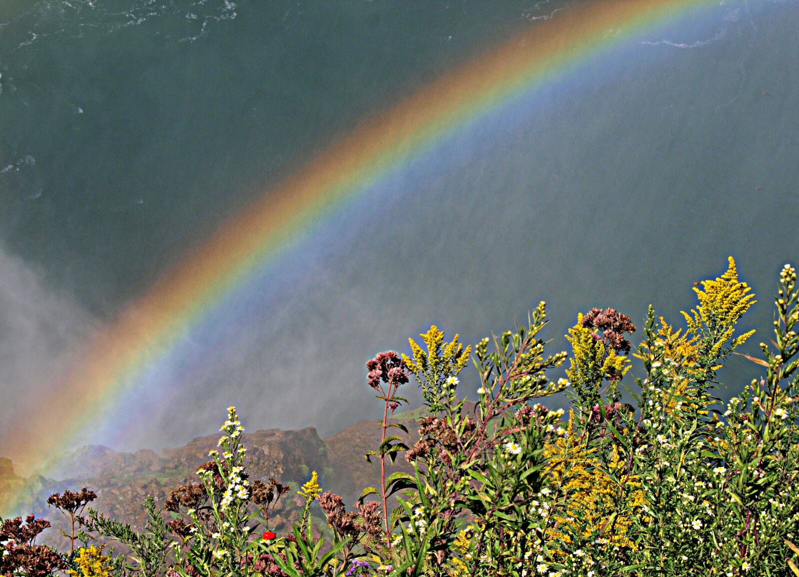Olympus E-3 sample photo. Niagara falls, rainbow, flowers photography