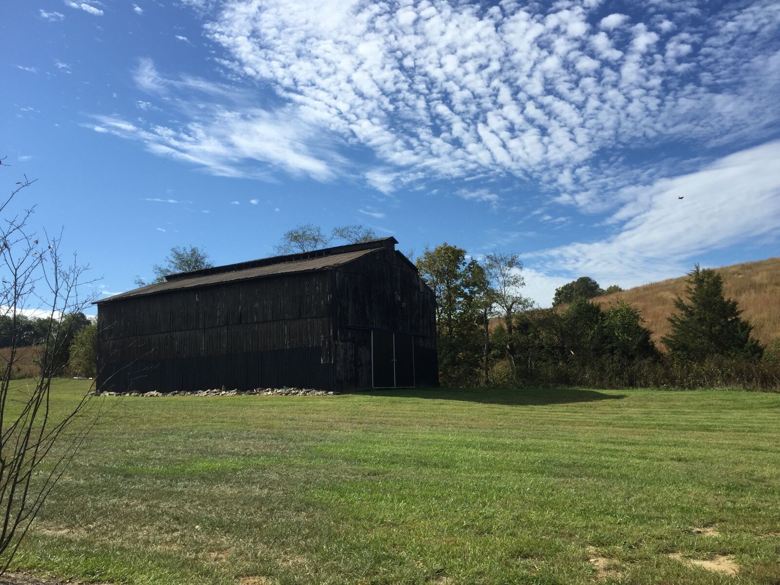 Apple iPhone 6 sample photo. Big sky, clouds, cirrus photography