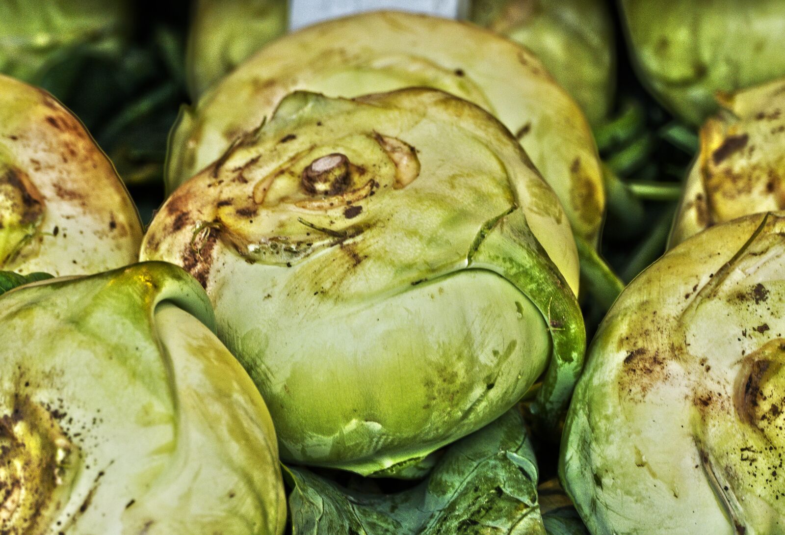Panasonic Lumix DMC-FZ1000 sample photo. Kohlrabi, vegetables, kohl photography