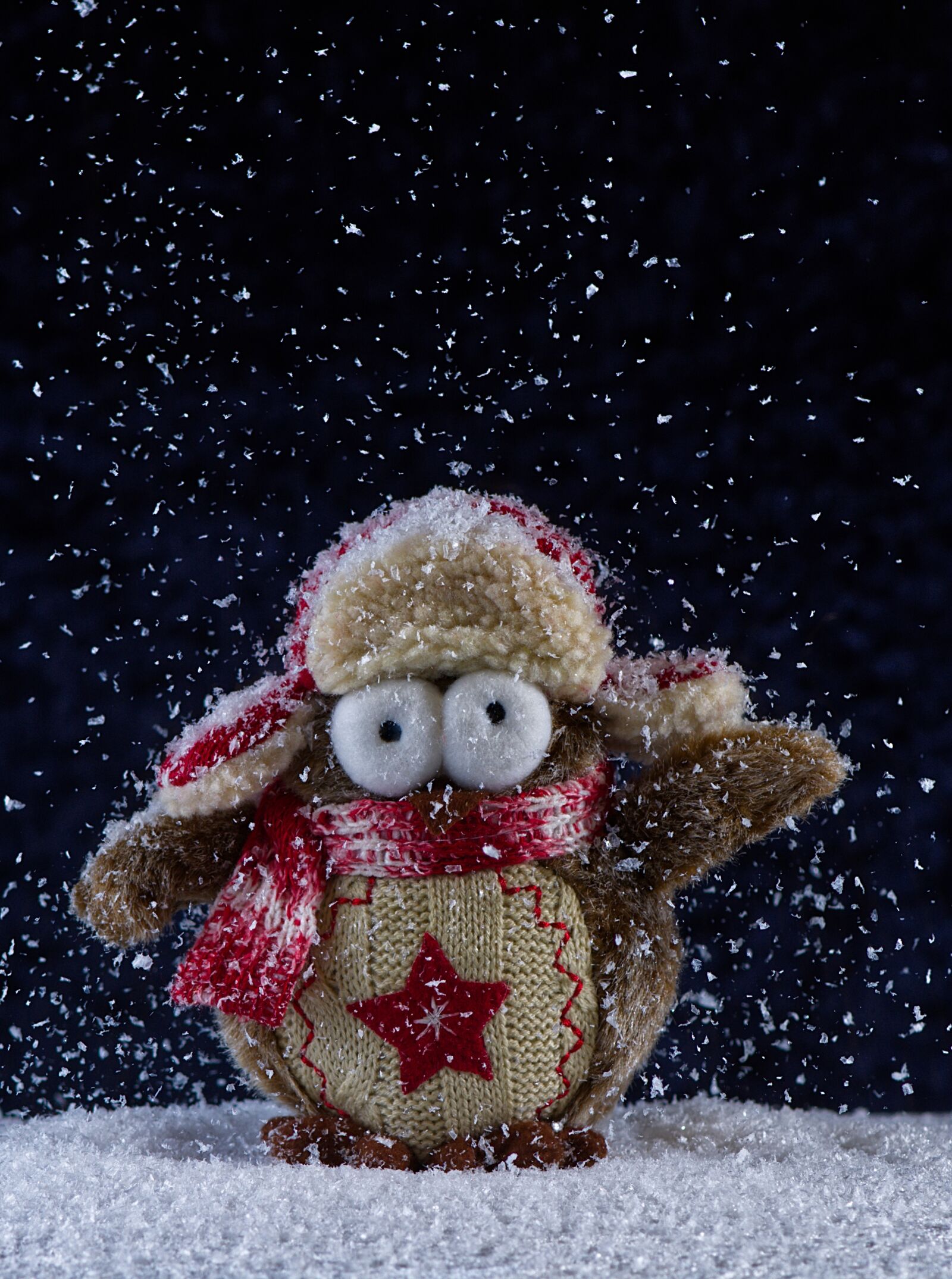 Nikon D7200 sample photo. Owl, winter, snow photography