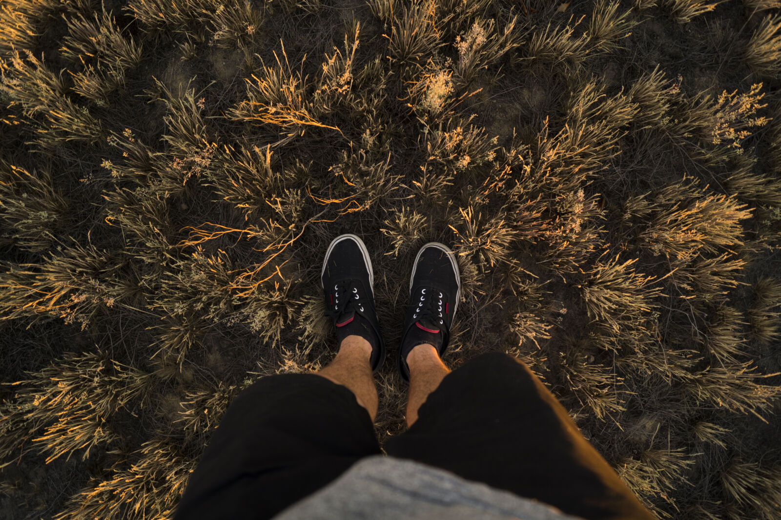 Sony DT 18-55mm F3.5-5.6 SAM II sample photo. Legs, summer, grass, young photography