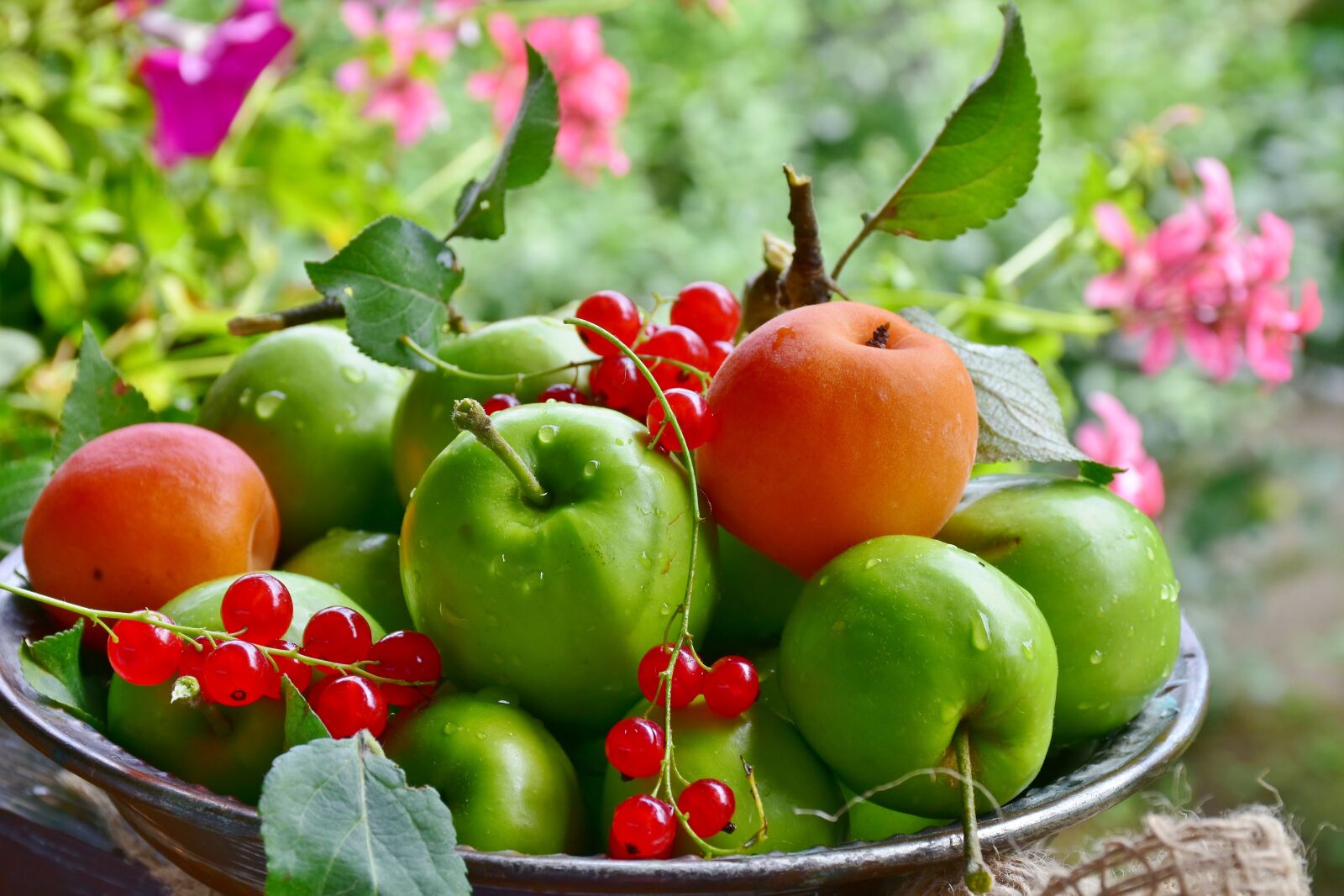 Nikon D7200 sample photo. Fruit, apple, apricots photography