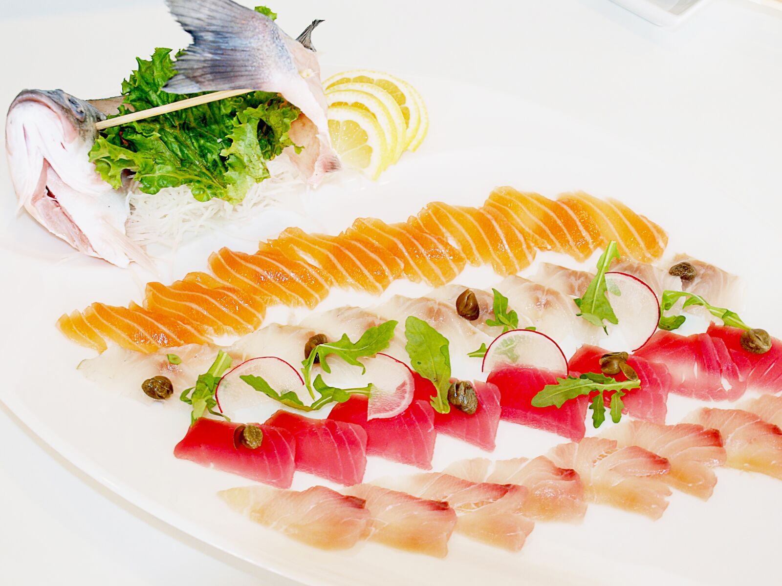 Olympus E-520 (EVOLT E-520) sample photo. Octopus, salmon, tuna photography