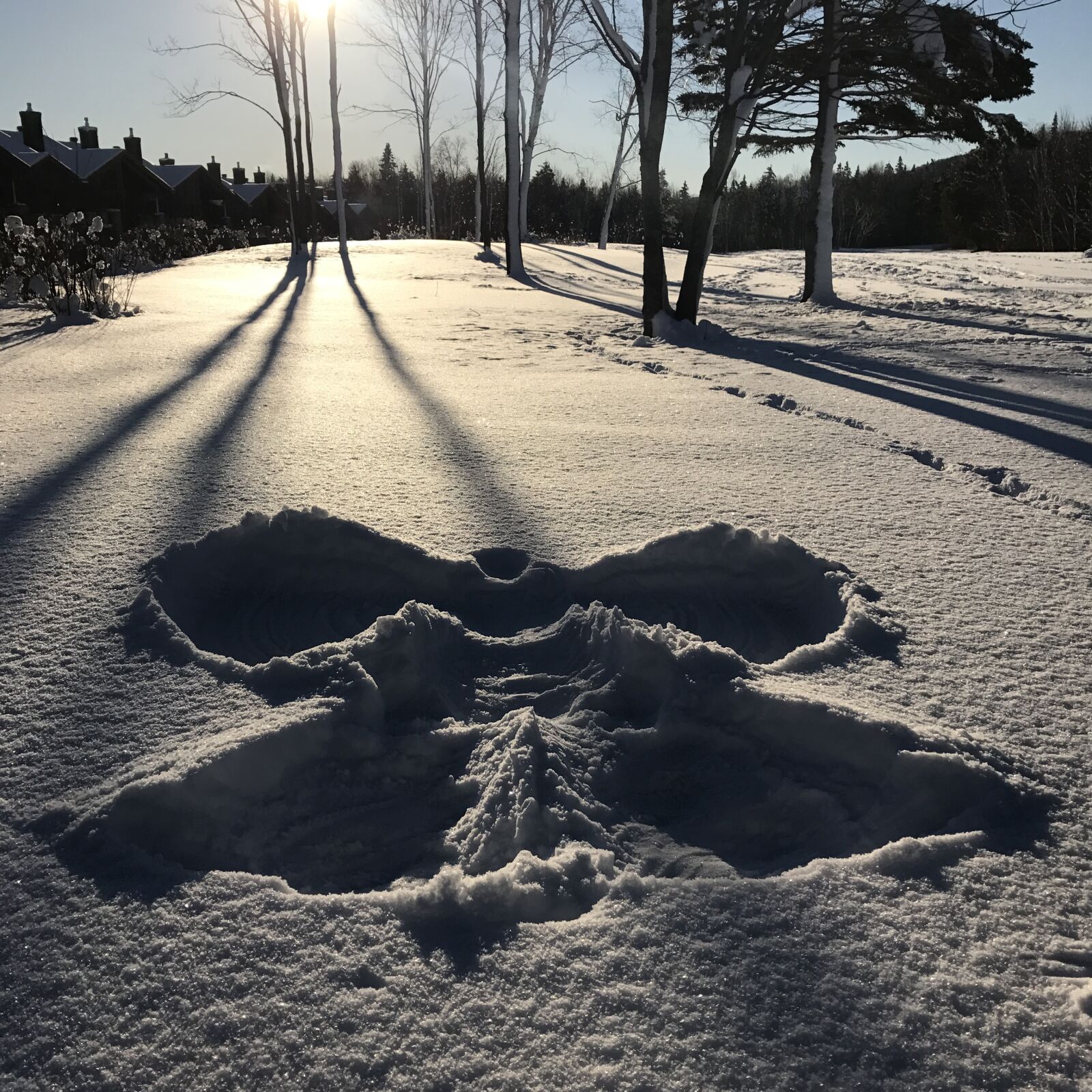 Apple iPhone 7 sample photo. Snow, winter, winter landscape photography