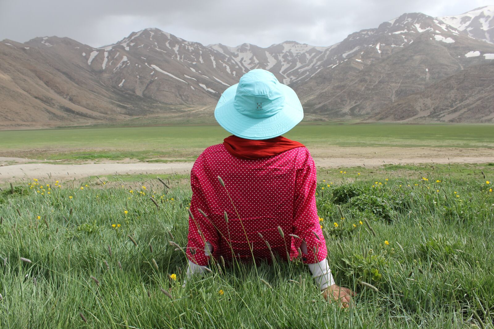 Canon EOS 60D sample photo. Countryside, field, grass photography