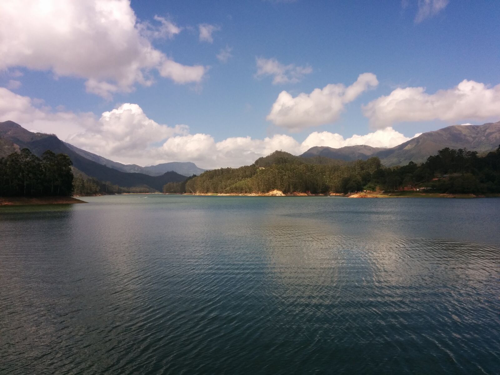 LG Nexus 5 sample photo