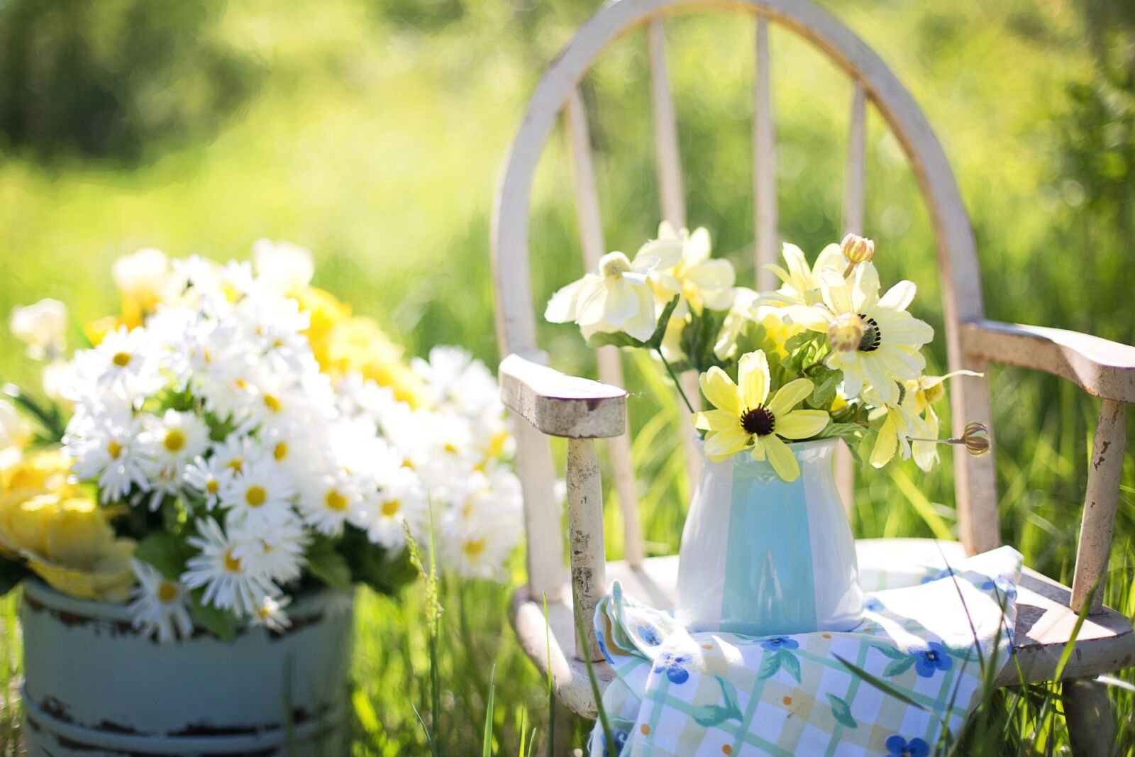 Canon EF 50mm F1.4 USM sample photo. Flowers, summer, garden, daisies photography