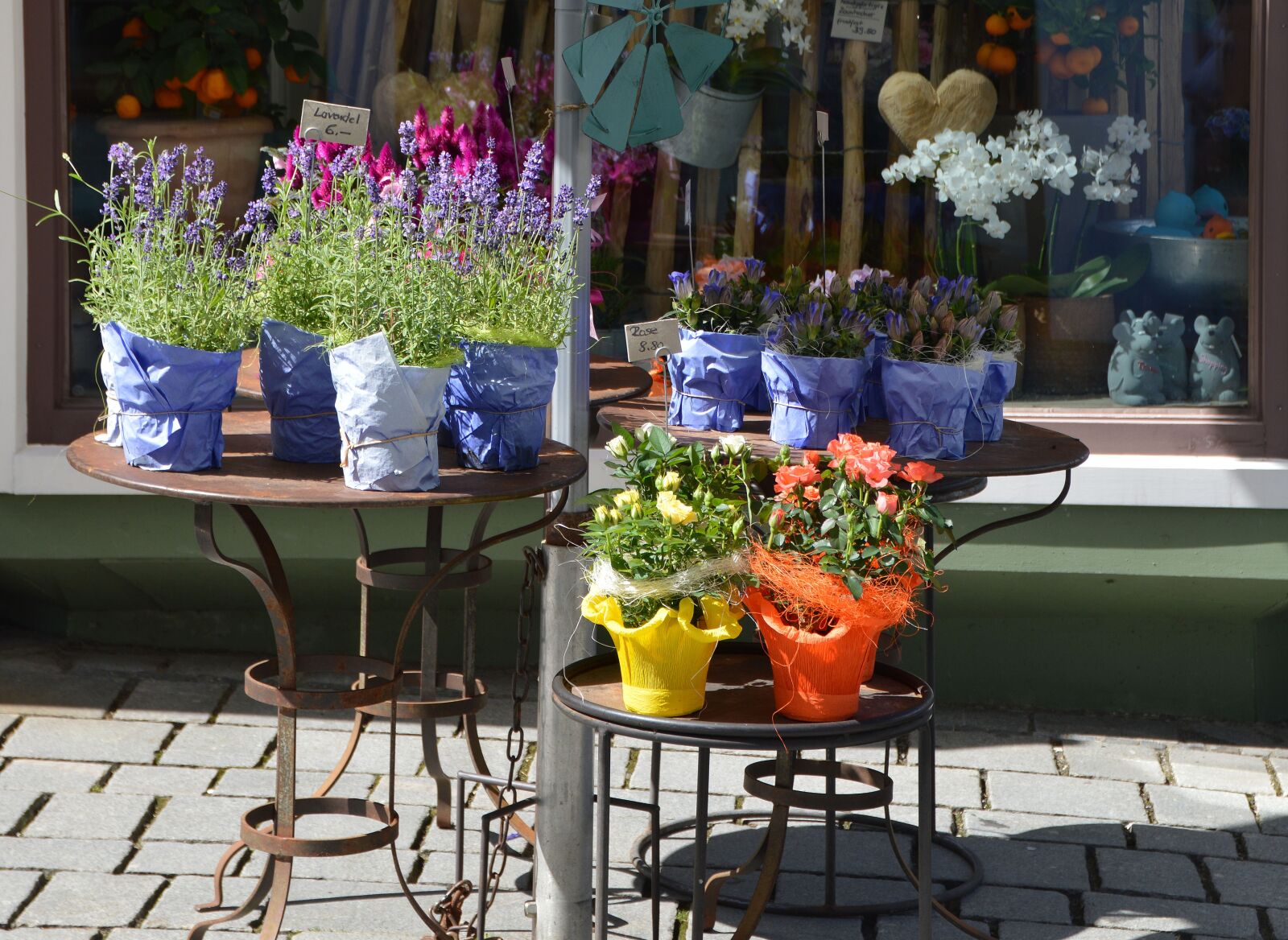 Nikon D3200 sample photo. Flowers, herbs, pots photography