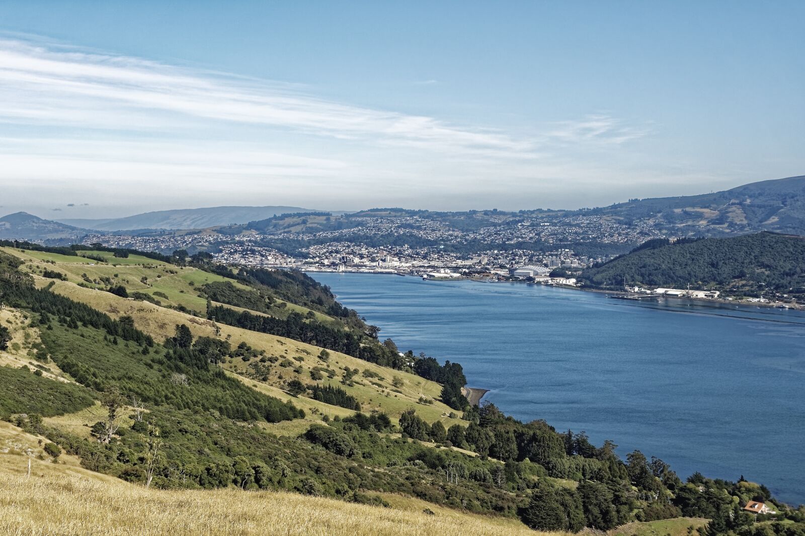 Nikon D500 sample photo. New zealand, otago harbour photography