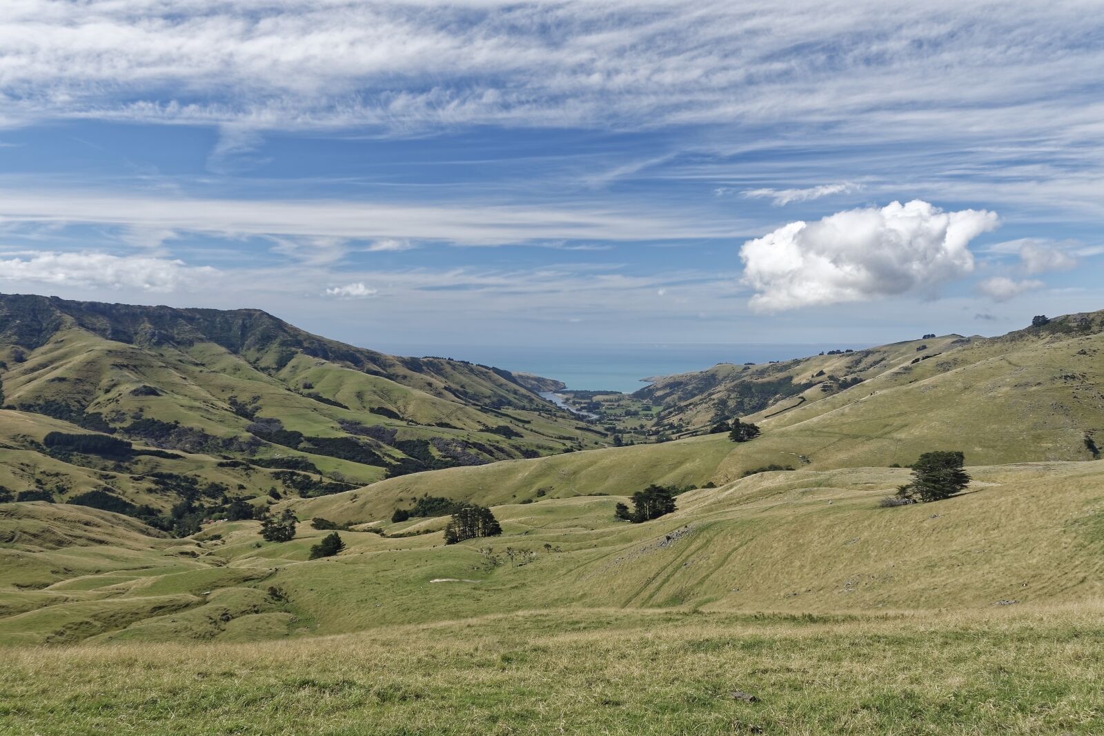 Nikon D500 sample photo. New zealand, banks peninsula photography
