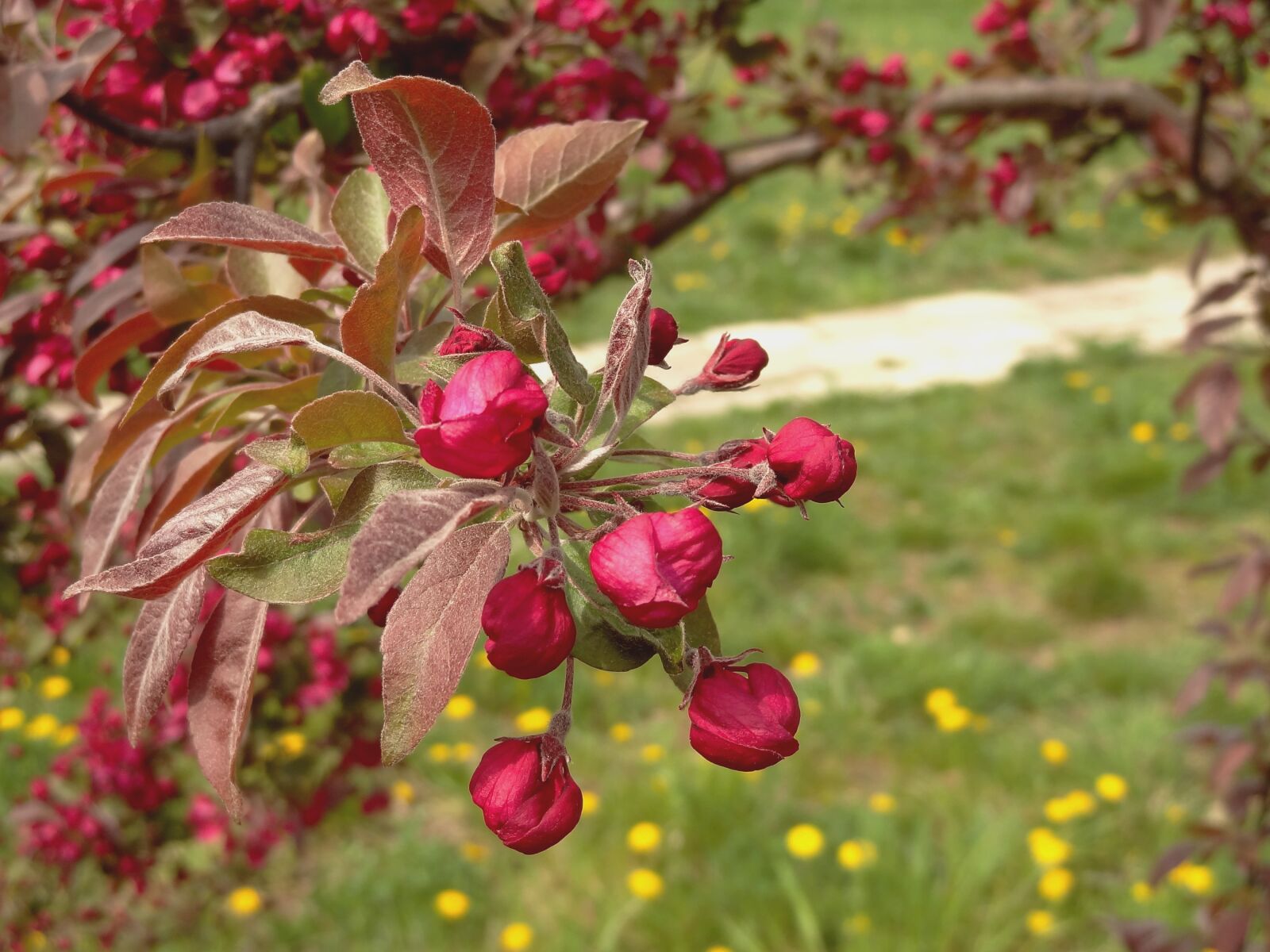 Sony Cyber-shot DSC-HX9V sample photo. Author, skibka, photo photography