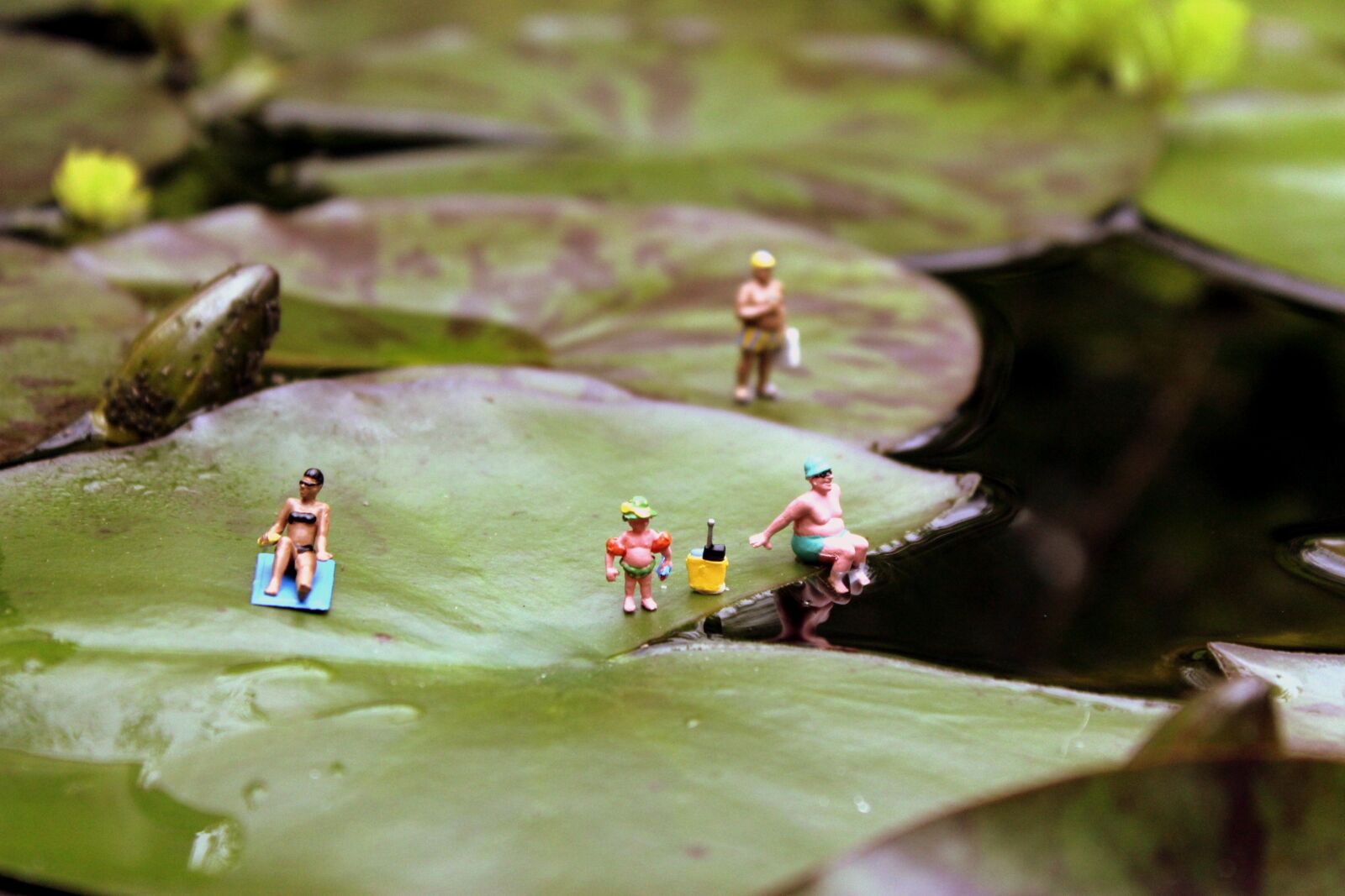 Canon EOS 1300D (EOS Rebel T6 / EOS Kiss X80) sample photo. Miniatures, miniature photography, water photography