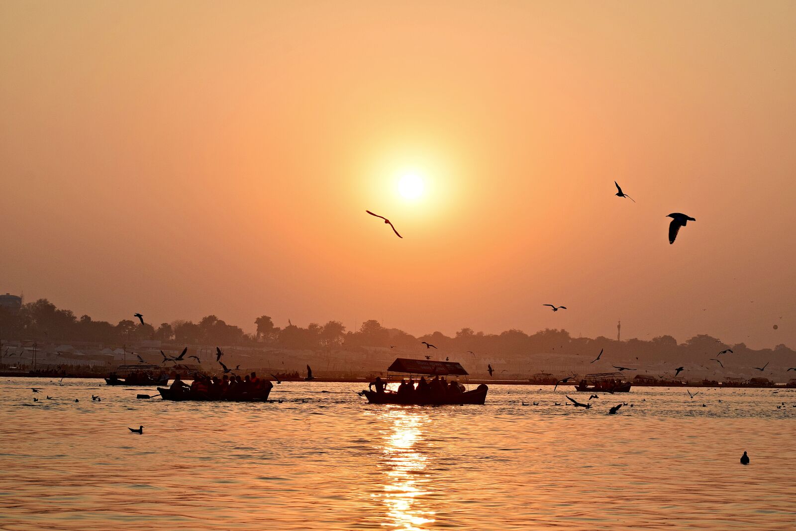 Nikon D3300 sample photo. Sunset, birds, landscape photography
