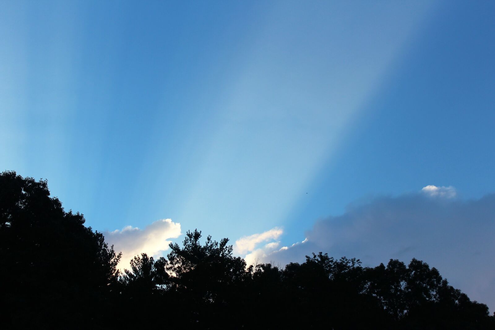 Canon EOS 1200D (EOS Rebel T5 / EOS Kiss X70 / EOS Hi) sample photo. Blue, skies, blue, sky photography